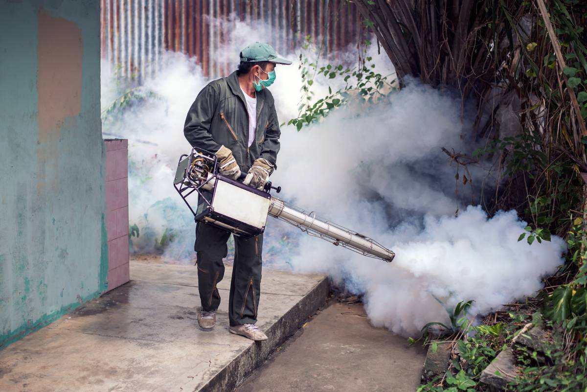 Dedetização de Mosquitos RJ - Dedetizadora Mosquitos - Rio de Janeiro