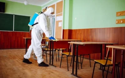 Dedetização em Escolas Municipais e Intermunicipais: Garantindo um Ambiente Seguro e Saudável