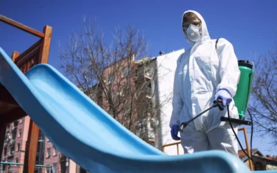 Dedetização na Barra da Tijuca: o que mais preocupa na região