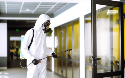 Dedetizadora RJ: como identificar se a empresa é confiável e legalizada