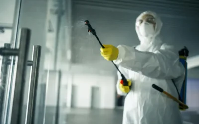 Controle de pragas RJ Zona Sul: desafios em áreas de alto padrão