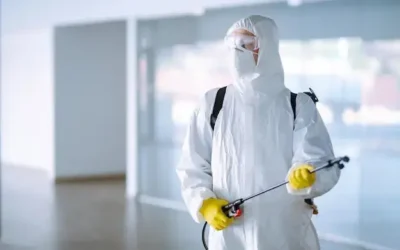 Desinsetização RJ Zona Oeste: cuidados em casas próximas a terrenos baldios