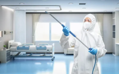 Dedetização em creches: por que a prevenção é essencial para proteger as crianças?
