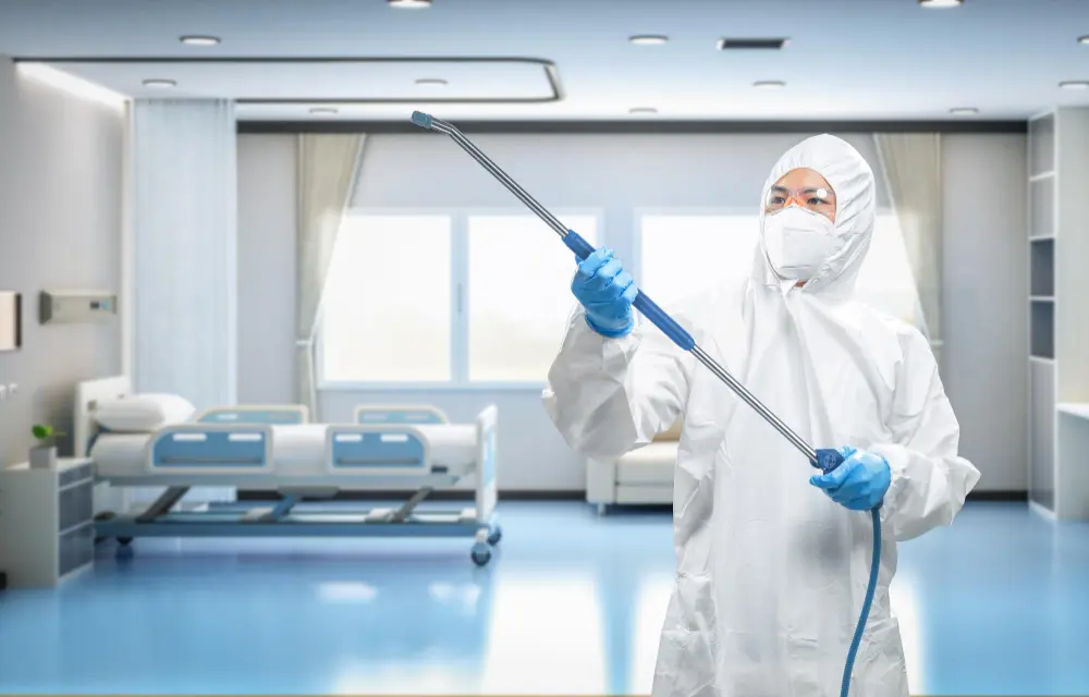Dedetização em creches: por que a prevenção é essencial para proteger as crianças?