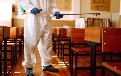 Dedetização em escolas: quais são as principais pragas e como preveni-las?